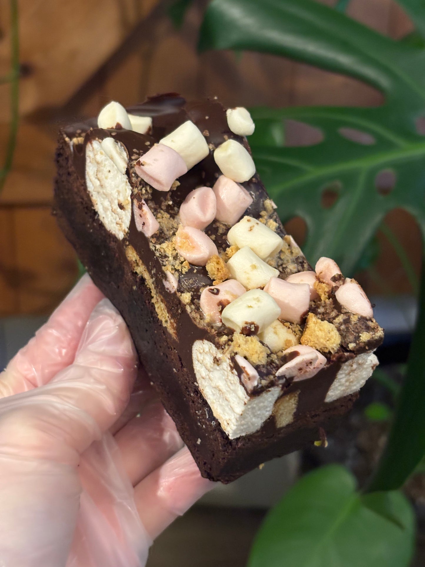 S’mores Brownie GF