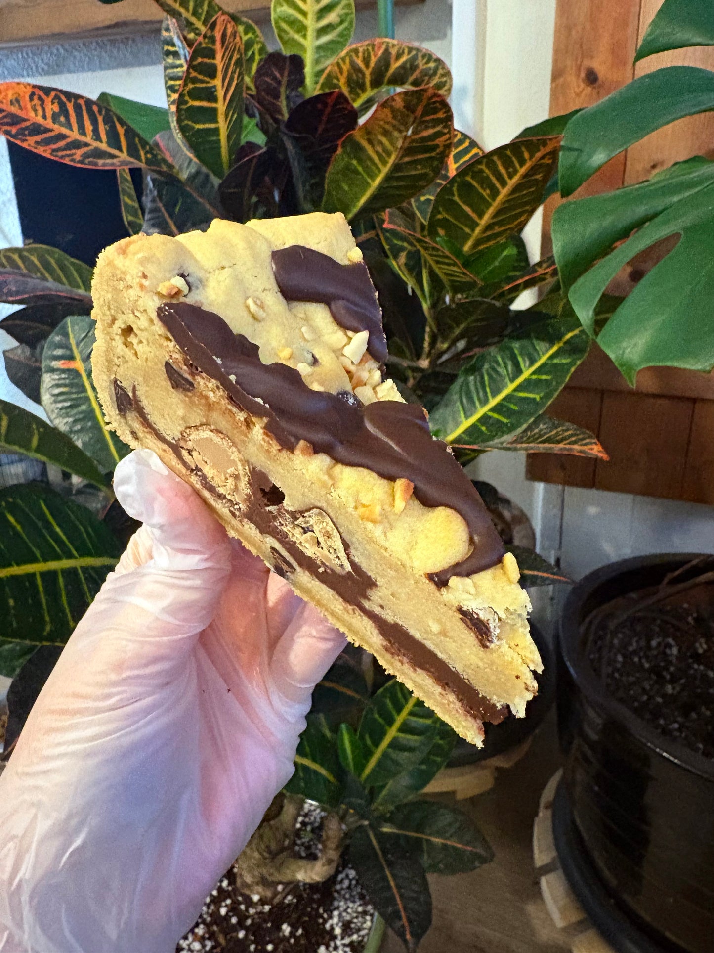 ‘Bueno’ Cookie Pie (N)