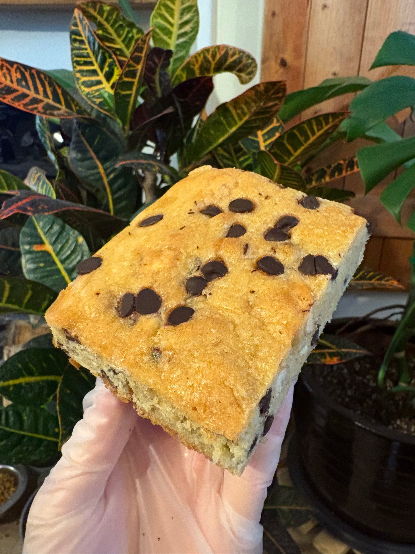 Banana & Choc Chip Blondie