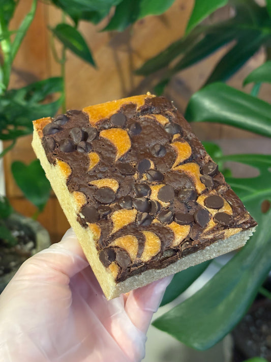 Choc Chip Blondie